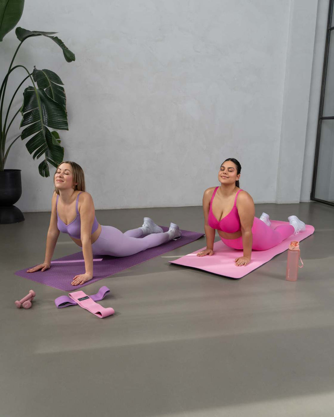 #farbe_dreamy-purple